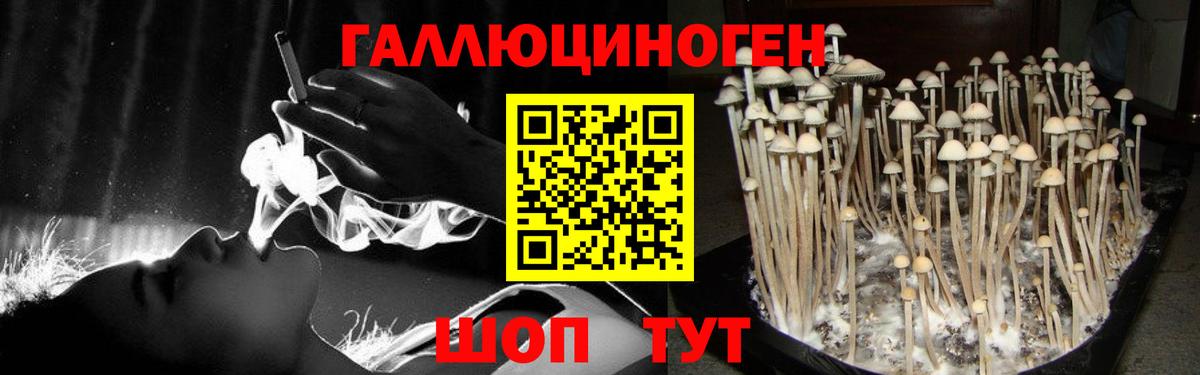Псилоцибиновые грибы Cubensis  Вход с VPN  Галлюциногенные грибы прущие грибы  Кропоткин 